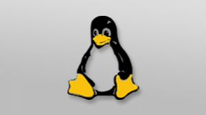 Linux(未)